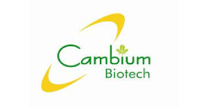Cambium